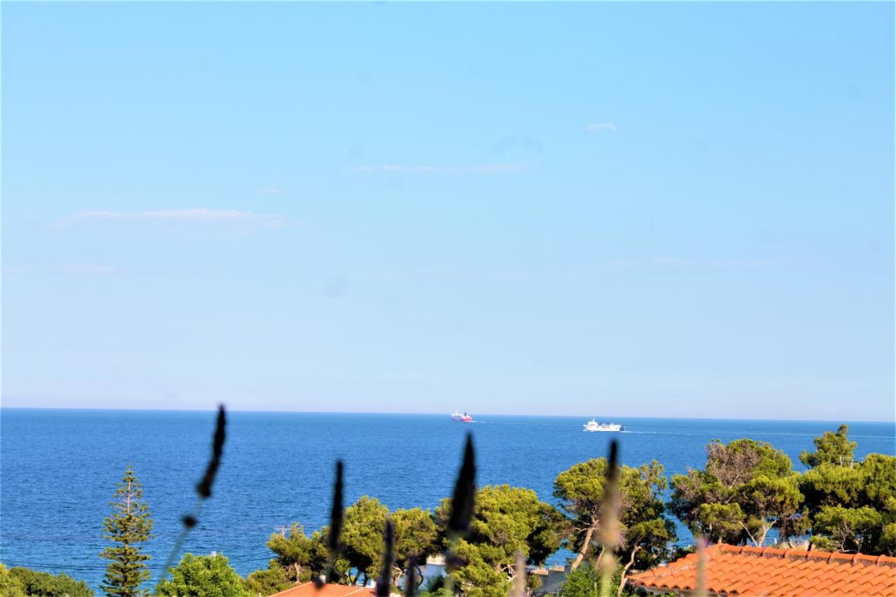 Sea View Apartment 15 Min From Athens Airport Néa Mákri Eksteriør bilde